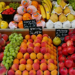 Meet your Posher, Julius